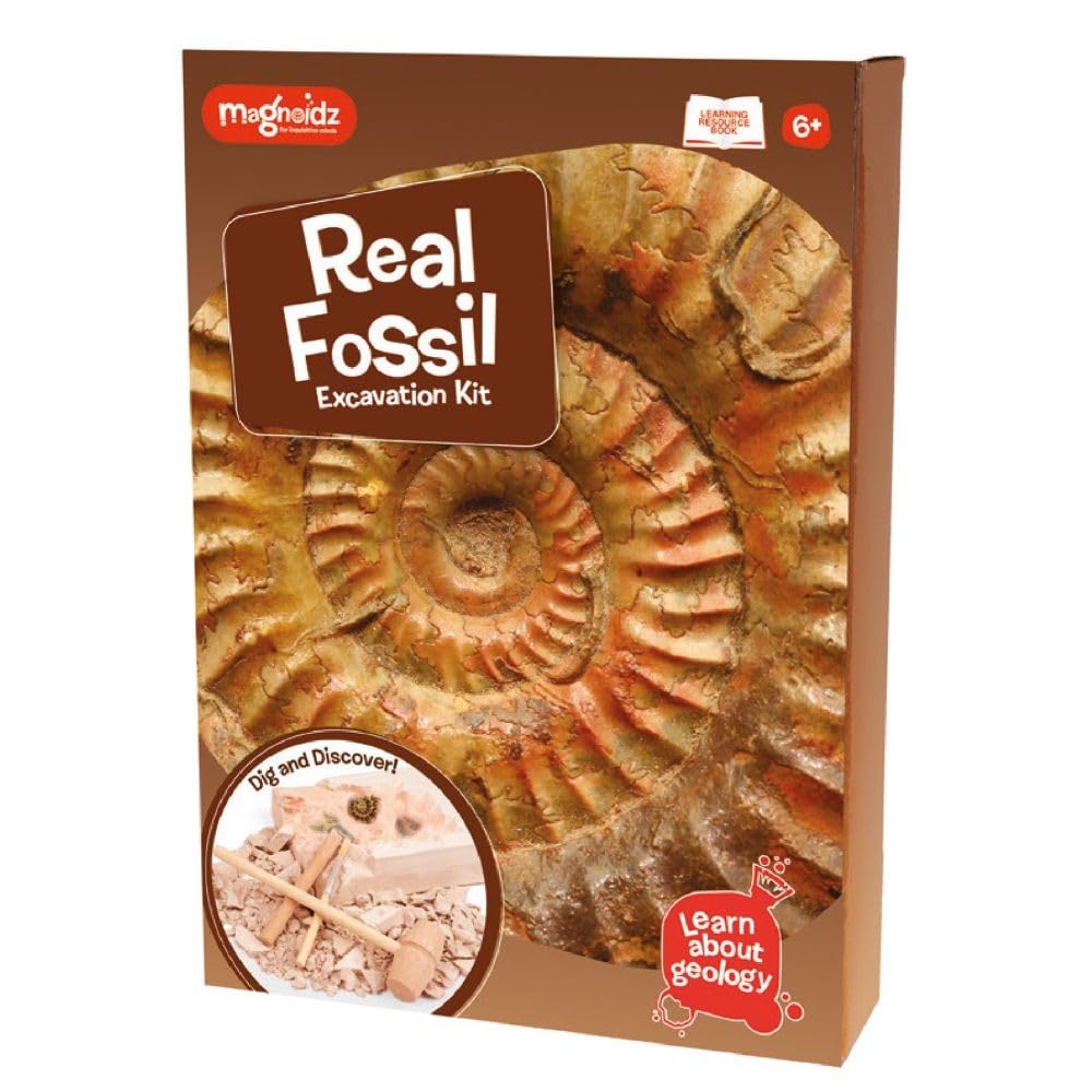 Magnoidz Geology Fossil Dig & Excavation Kit