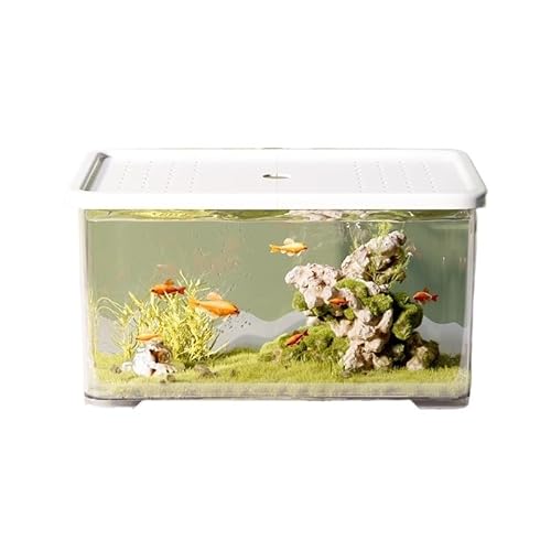 Aquarium Transparentes Acryl-Aquarium mit weißem Deckel, kleines Wohnzimmer-Desktop-Aquarium, Büro-Aquarium, kleines dekoratives Aquarium, Schildkrötenbecken Aquarium-Kit