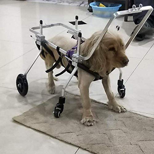 Hundemobilitätsgeschirr, Hundekinderwagen, Hunderollstuhl Hunderollstuhl Verstellbarer 4-Rad-Edelstahlwagen Haustier/Katzenhunderollstuhl Hinterbeinrehabilitation für behinderte Hunde (Größe