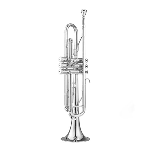 Trompeteninstrument, Student, Erwachsener, Anfänger, Professionelles Trompeten- Und Schlagzeug-Teaminstrument (Color : Silver)