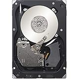 Seagate ST3300657SS - SEA 300 GB 15000 U/min 16 MB SAS 15,7 K