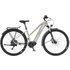 Fischer E-Bike ATB Terra 4.0i 29 Zoll RH 45cm 10-Gang 630 Wh greige