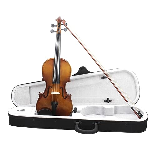 4/4 Violine in voller Größe Lindenholzplatte Akustische Violine Geige mit Koffer Bogen Saiten Schulterstütze Stimmgerät Tuch (Farbe: 4-4 Violinenset)