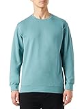 Trigema Herren 679501 Sweatshirt, seegras, L