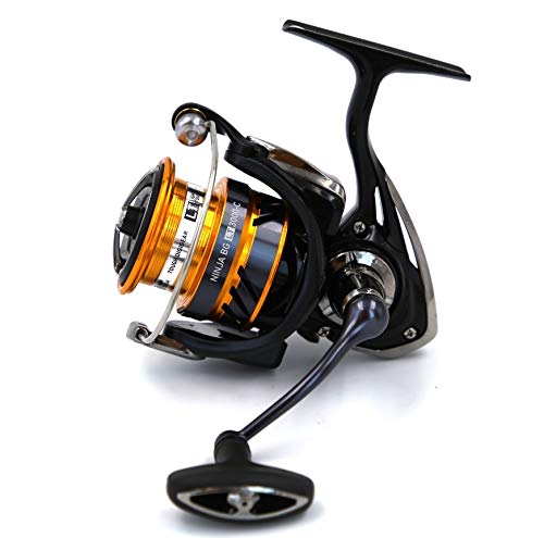 Daiwa 19 Ninja BG LT 3000 C Rolle