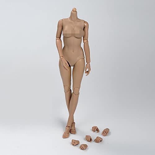 VUSLB 1/6 Scale Female Body, 12inch Suntan Skin Middle Bust Flexible Action Figure Body Doll Collection