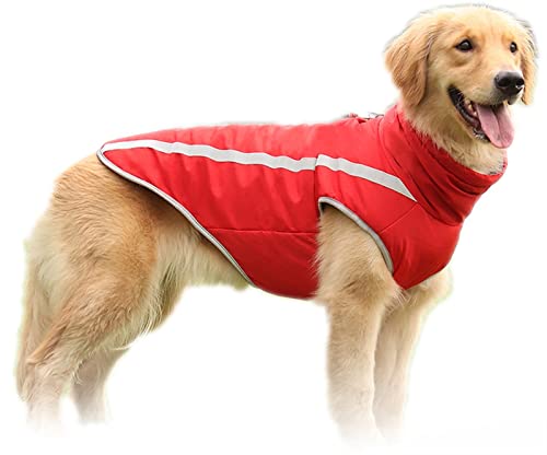 DHGTEP Hundemantel Dicke Jacke für Große Hunde, Winter Warme Baumwolle Hundekleidung Weste mit Geschirr Loch, Reflektierende Hundekleidung mit Verstellbarer Schnalle (Farbe : Rot, Größe : XXL)