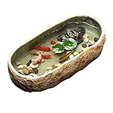 Aquarium Keramik Aquarium Schildkröte Tank Keramik Becken Haushalt Kleine Dekorative Keramik Blumentopf Aquarium-Kit(Beige)