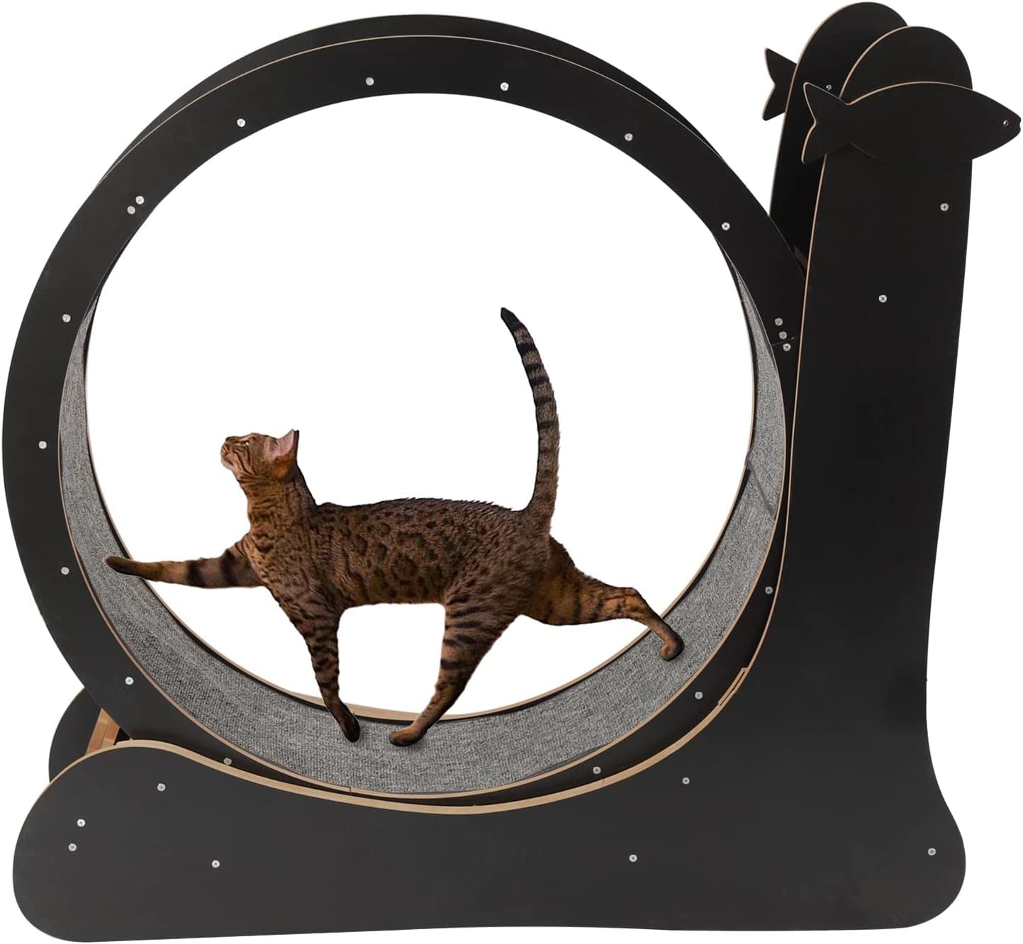 Laufband für Katzen, Haustierspielzeug, runde Laufräder, Laufrad für Katzen im Innenbereich, Laufbahn mit Teppichboden für Gewichtsverlust und Bewegung von Haustieren