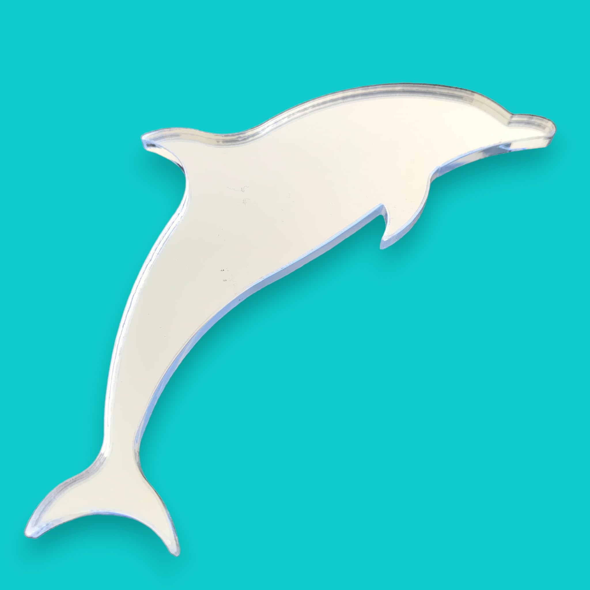 Super Cool Creations Dolphin Spiegel 40 cm x 25 cm Funky Delfin und gratis 12 cm Dolphin