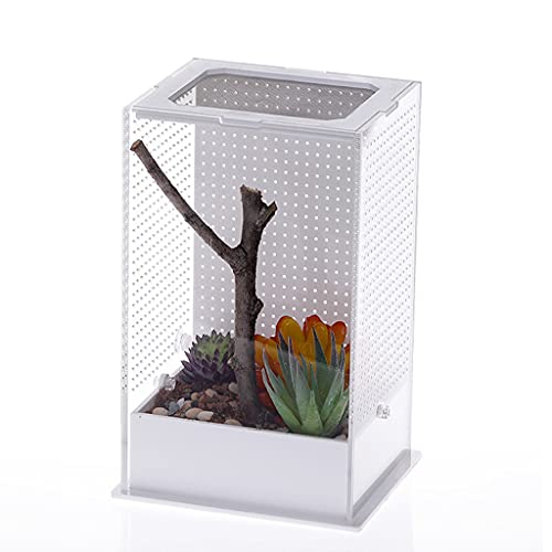 Futterbox Kunststoff Terrarium transparente Behälter für Spinnen, Eidechsen, Frösche, Mantisen, tragbarer Lebensraum für kleine Haustiere, S/L Futterbox für Reptilien