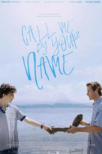 HfmQuisutron Jigsaw Puzzle 1000 Teile Liebesfilm Call Me by Your Name Poster Holz Buntes Geschicklichkeitsspiel Für Die Ganze Familie Erwachsene Vf318Za