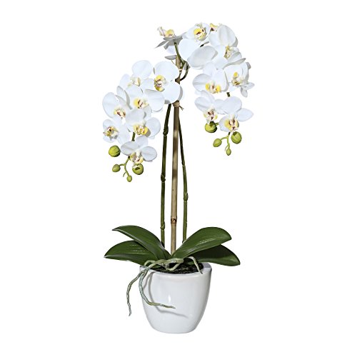 wohnfuehlidee Kunstpflanze Mini-Phalenopsis (Orchidee), Farbe weiß, im weißen Keramik-Topf, Höhe 43 cm