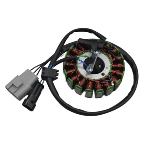 RYUIO Spulen-Stator-Magnet 250cc Zündung für Magneto Spule stator für TNT25 TNT250 BN251 TRK251 LEONCINO250 BN TNT TRK für Für Leoncino 25 250 251