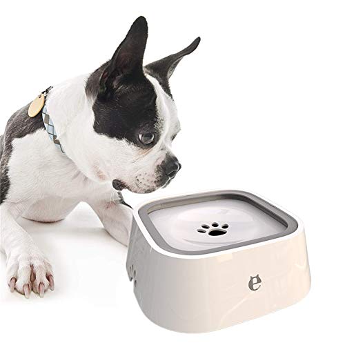 Wassernapf Katzen Futternapf Hund Raised Cat Bowl Hundenäpfe rutschfest Welpenschalen klein Flache Katze Schüssel Haustierschalen Für Katzen White