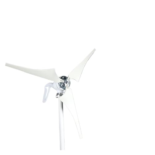 Mikro-Windkraftanlage, Windnerator 1000 W 1500 W 2000 W Alternative Energie Windmühlen Alternateur 12 V 24 V 48 V Windkraftanla Hoher Einsatz von Windenergie(12V,1000W 3 Blades)