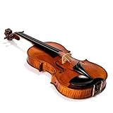 Standard Violine Violine Decke Fichte Boden Ahorn Griffbrett Ebenholz Spleißmuster Handgefertigt(3/4)