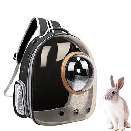 Bubble Pet Carrier-Rucksack, Pet Carrier-Rucksack, Back To School btss, Trailmakerr-Rucksack mit Mesh-Haustier-Rucksack, Clear Bubble Pet Carrier-Rucksack, Dog Carrier Travel, Sicherheitsfunktionen un