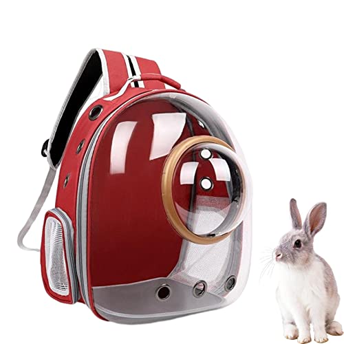 Bubble Pet Carrier-Rucksack, Pet Carrier-Rucksack, Back To School btss, Trailmakerr-Rucksack mit Mesh-Haustier-Rucksack, Clear Bubble Pet Carrier-Rucksack, Dog Carrier Travel, Sicherheitsfunktionen un