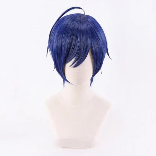 WCCNKK Anime Cosplay Perücke, PERSONA3 Yuuki Makoto Perücke, Dunkelblaues Kurzes Haar, Mit Kostenloser Perückenkappe, Für Party Alltag Halloween, Dekoratives Geschenk