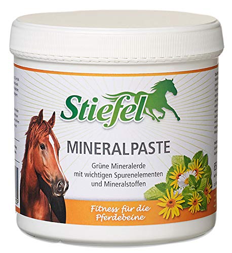 Stiefel Mineralpaste 2 kg Dose