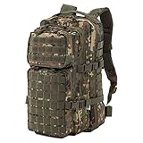 US Army Assault Pack I Rucksack Einsatzrucksack back 30 ltr. Liter (Flecktarn )