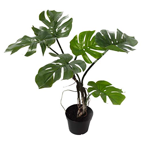 Leaf Künstliche Pflanze Stiel, Gedrehte Monstera 60 cm