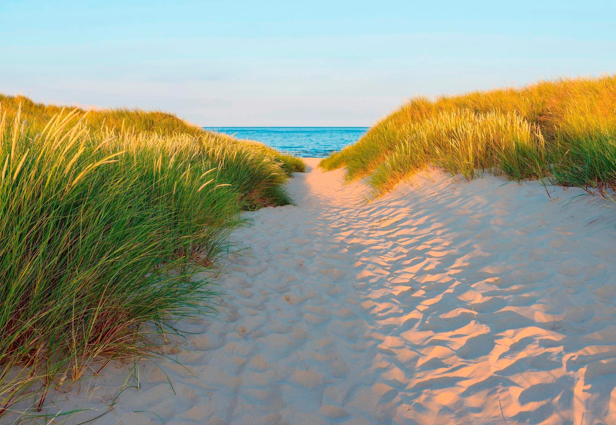 Komar Fototapete "Sandy Path", 368x254 cm (Breite x Höhe), inklusive Kleister