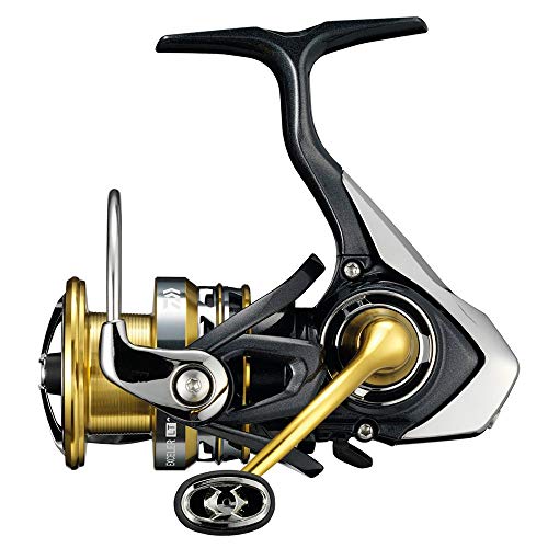 Daiwa Exceler LT 3000DC, Spinning Angelrolle mit Frontbremse, 10415-305