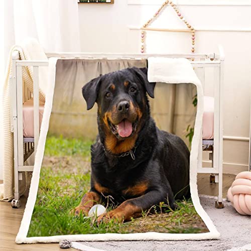 Kuscheldecke 150x200 Rottweiler 3D Süßes Haustier Warm Fleece-Decke Weich Flauschige Sherpa Wohndecke Microfaser Sofadecke Couchdecke Zweiseitige Decke Dekor Schlafzimmer Kollektion Winter