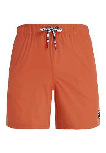 Protest Herren Beachshorts PRTYESSINE Clay M