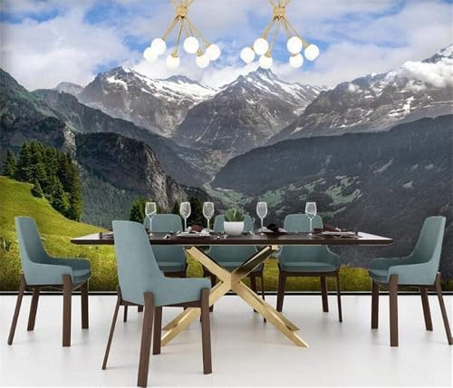 Verschneite Berge Bäume Wiesen 3D Tapete Poster Restaurant Schlafzimmer Wohnzimmer Sofa TV Dekorative Wand-250cm×170cm