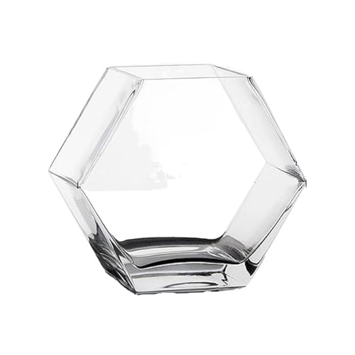 Aquarium, Glas Verdickt Transparent Desktop Dekorative Büro Kreative Goldfisch Schüssel Glas Vase Fisch Schüssel(20x10x17.6cm)