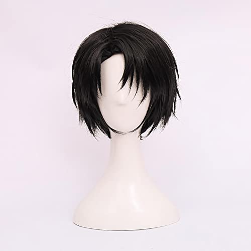 LINLINCD-Wig Anime Cosplay Cosplay-Perücke for Angriff auf Titan Levi Ackerman Kurzhaar Rivai Ackerman Rollenspiel Halloween