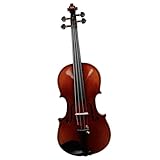 DAYKET Standard Violine 4/4 Violinensatz Mit Komplettem Komponentensatz(Violin Set)