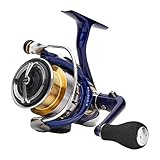 DAIWA 18 TDR Match und Feeder QD 2508 Beidhändig Match und Feeder Angelrolle Frontbremse 10215-258