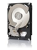 Seagate Constellation CS ST2000NC000 Interne Festplatte 2TB (8,9 cm (3,5 Zoll), 7200 rpm, 64MB Cache, SATA III)