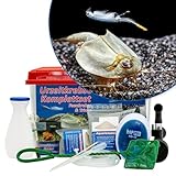 Triops und Feenkrebse Urzeitkrebse Komplettset,6 Liter, Kunststoff Aquarium, Eier, Luftpumpe, Filter, Kescher, Zuchtansatz, Futter und Anleitung