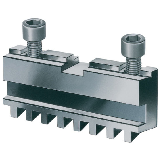 RÖHM 107505 Grundbacken GB DIN 6350 Typ 302 für ZGU/ZSU 250/4 mit Befestigungsschraube (4-er pack)