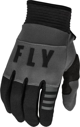 Fly Racing 2023 Erwachsene F-16 Handschuhe (Dunkelgrau/Schwarz, Large)