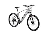 F.lli Schiano Unisex-Adult E-Jupiter E-Bike, Grau, 27.5 Zoll