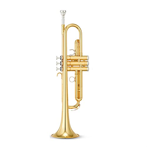 ZENGXUE Trompete Musikinstrument B-flache Trompete Professionelle Leistung Für Kinder Und Erwachsene Anfänger Standard-Trompetenset (Color : Gold)