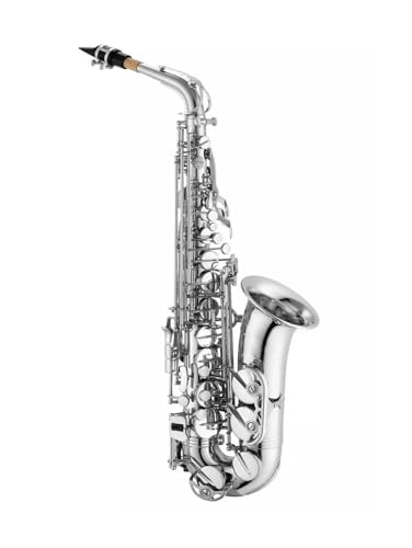 Gold lackiertes saxophon Alto Eb Tune Saxophon Ankunft Messing Gold Lack Musik Instrument Sax Mit Fall Zubehör(Silver)