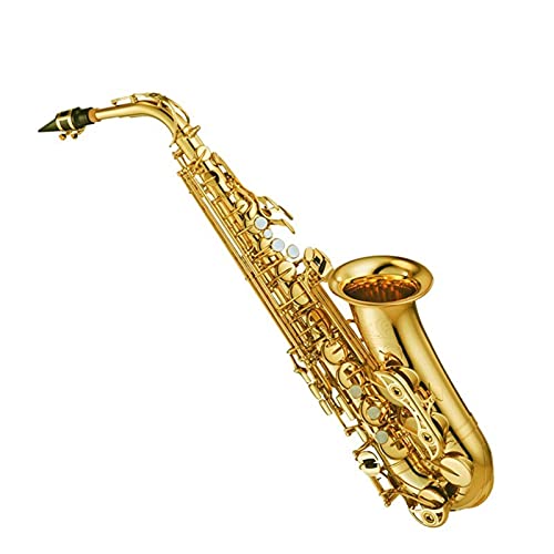 Professionelles Alt-Tropfen E Saxophon Gold Altsaxophon mit Band Mundstück Blatt Aglet (Farbe: Golden)