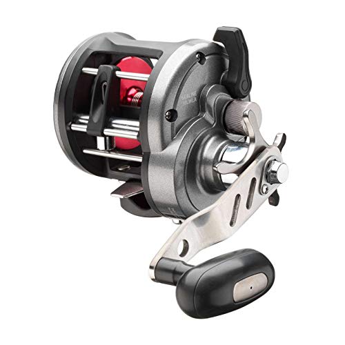 Daiwa Sealine 30LWLA Linkshand Multirolle