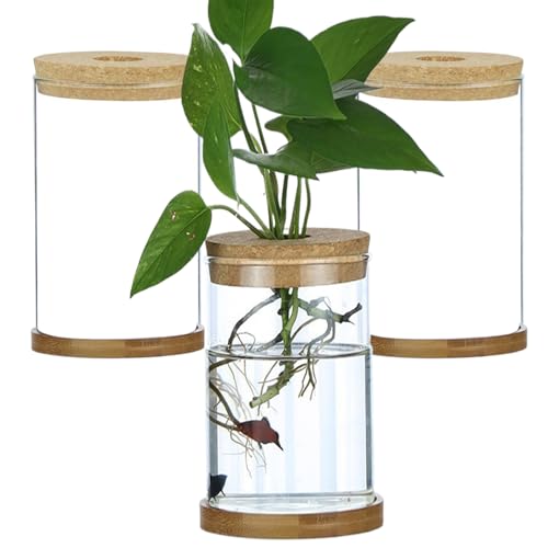 Plant -Terrarium 3PCS Transparent Deckel Plant Propagation Station mit Tray Hydroponic DIY -Ausbreitungsgläser für Home Office, Straight Garden Artikel