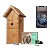 Green Feathers WiFi Vogelhäuschen-Kamera, 1080p HD Smart-Kamera mit Aufnahme- und Nachtsichtfunktion, Garten-Wildtierkamera zur Vogelbeobachtung, Wildtierbeobachtung auf Telefon – 10 m-Set