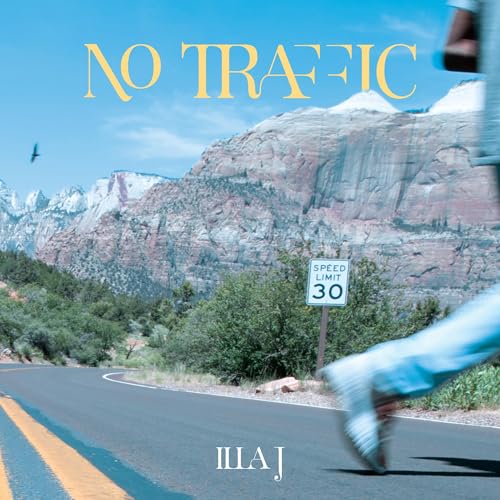 No Traffic [Vinyl LP]