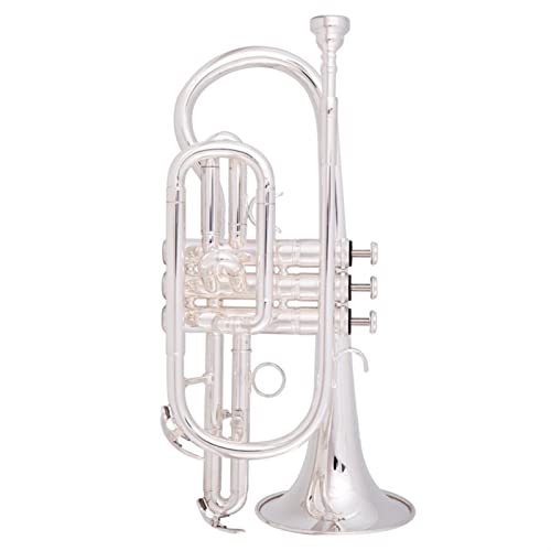 B-Flachkornett-Musikinstrument, Tragbare Palme-Größe Tragbares Taschen-Trompet-Musikinstrument