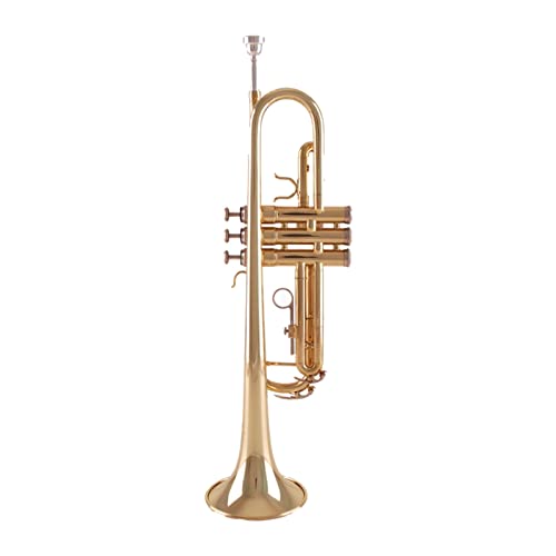 ZENGXUE B Flache Trompete Musikinstrument Messing Rohrkörper Lackierter Gold Standard-Trompetenset